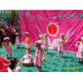 蘭州小博士雙語藝術(shù)幼兒園